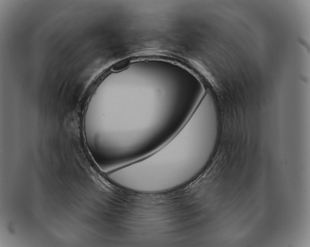 X0000092111356200709121121