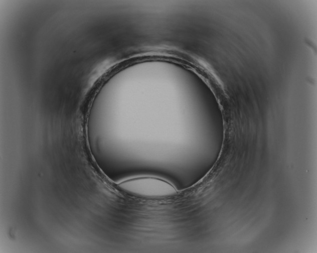 X0000092111360200709121121
