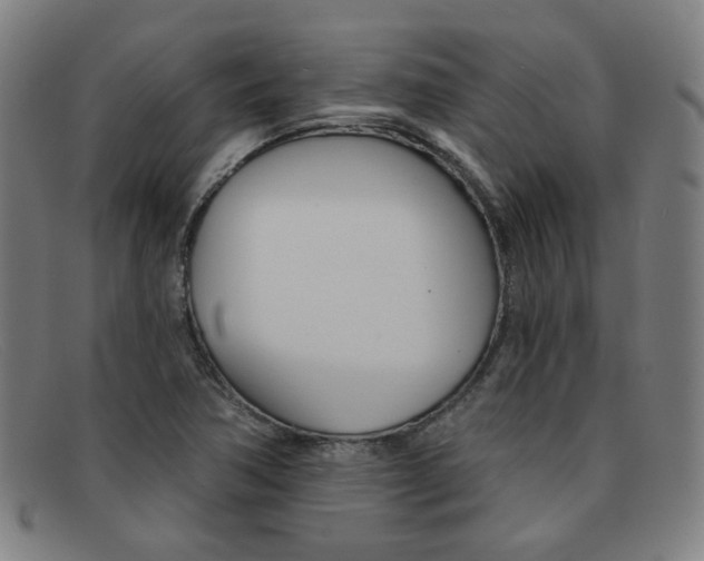 X0000092111362200709121121