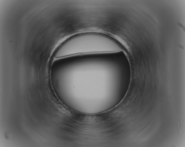 X0000092111364200709121121