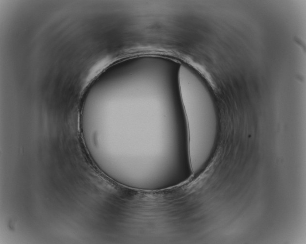 X0000092111365200709121121