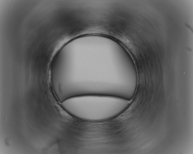 X0000092111366200709121121