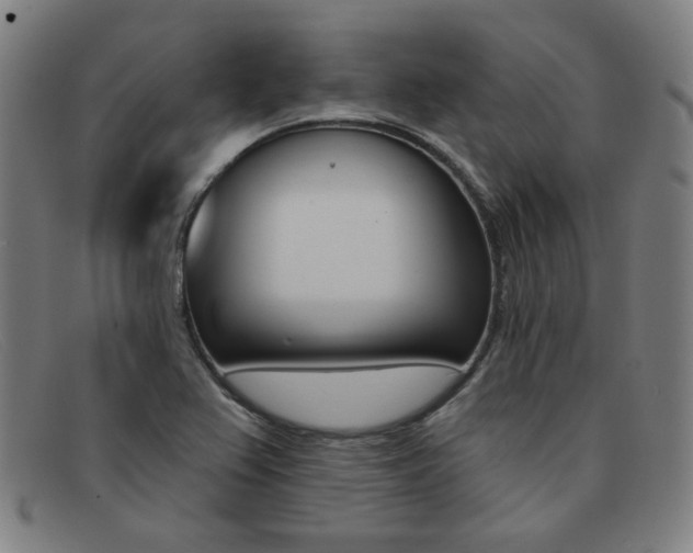 X0000092111367200709121121