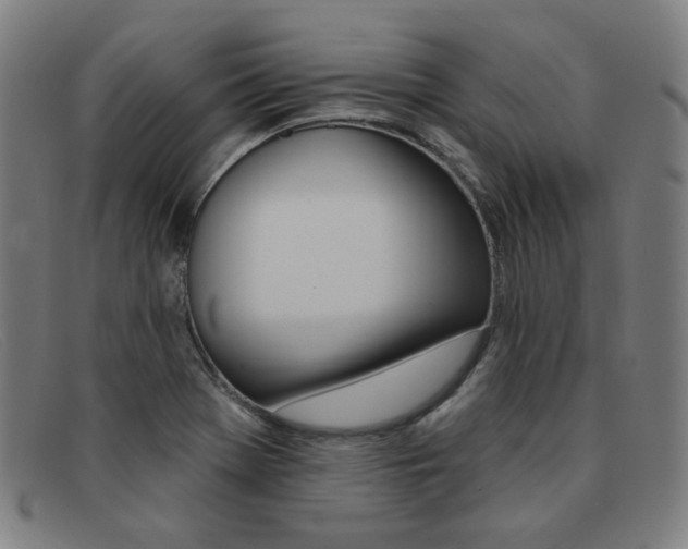 X0000092111369200709121121