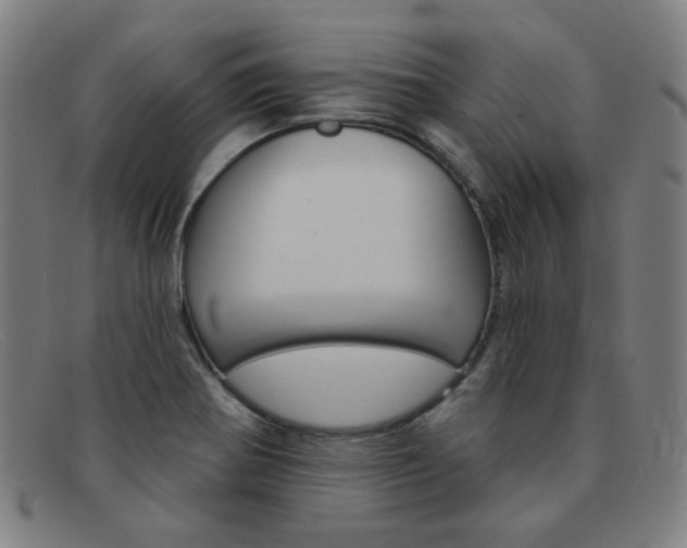 X0000092111370200709121121