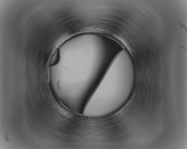X0000092111371200709121121