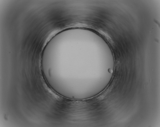 X0000092111374200709121121
