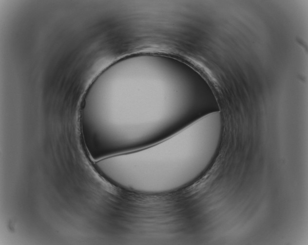 X0000092111375200709121121