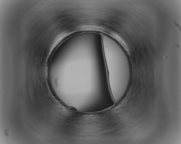 X0000092111376200709121121