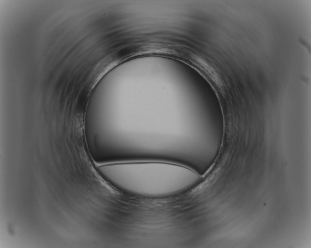 X0000092111377200709121121