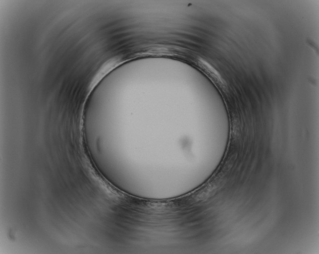 X0000092111378200709121121