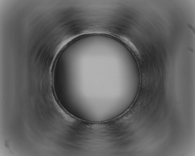 X0000092111380200709121121