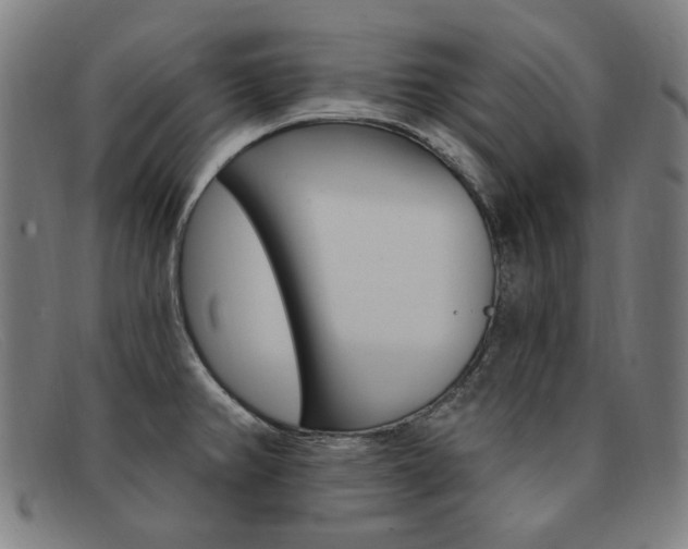 X0000092111382200709121121