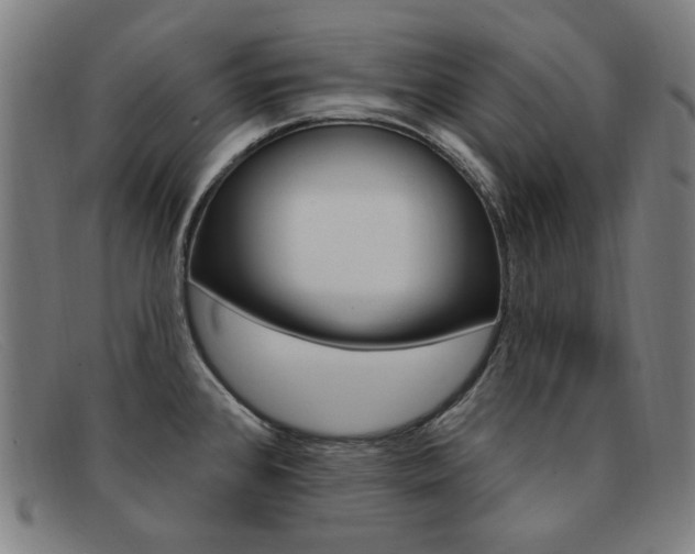 X0000092111384200709121121
