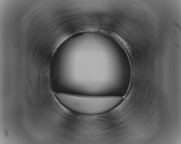 X0000092111385200709121121