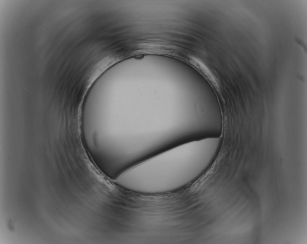 X0000092111386200709121121