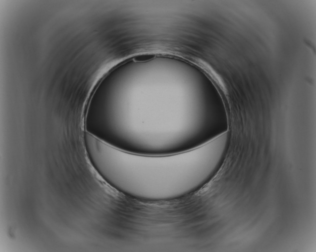 X0000092111388200709121121