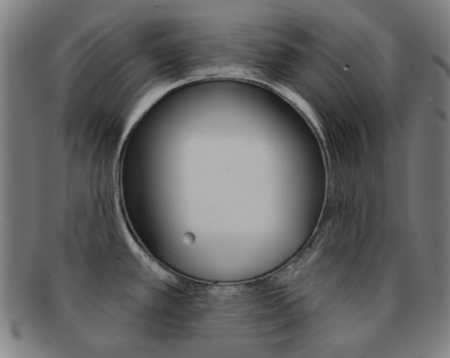 X0000092111389200709121121