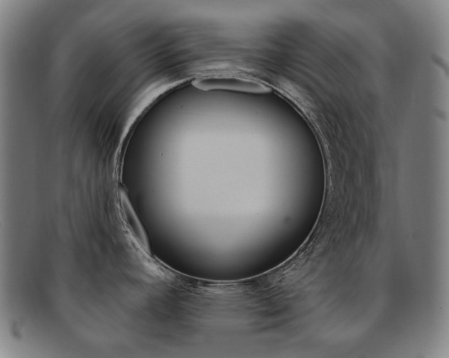 X0000092111392200709121121