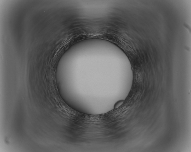 X0000092111393200709121120