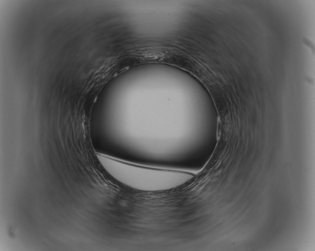 X0000092111394200709121120