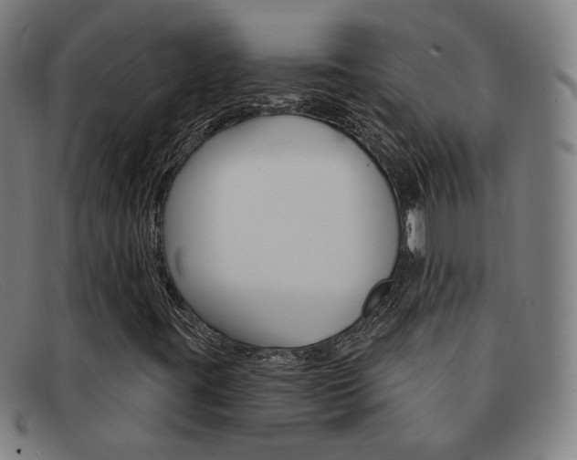 X0000092111395200709121120