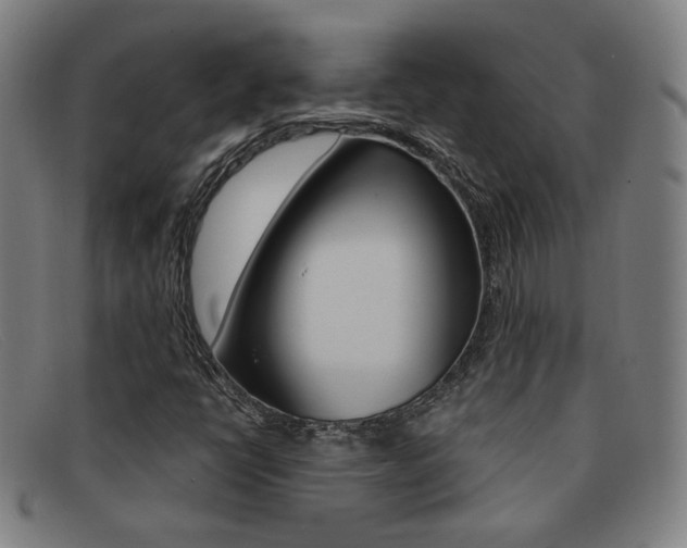 X0000092111398200709121120