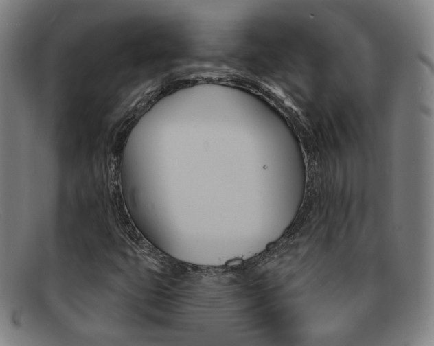 X0000092111399200709121120