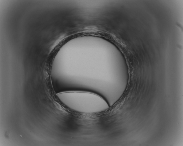 X0000092111400200709121120