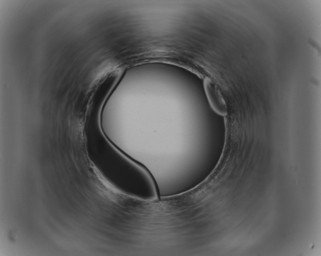 X0000092111402200709121120