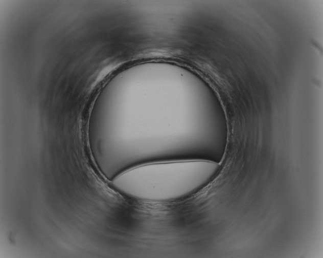 X0000092111404200709121120
