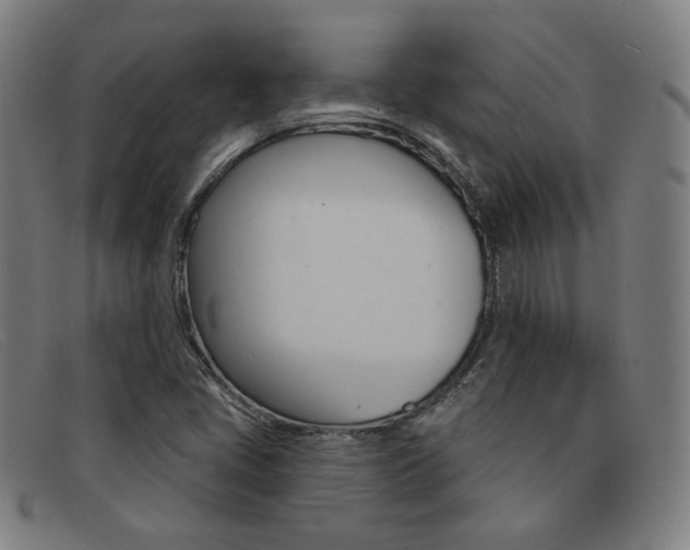 X0000092111405200709121120