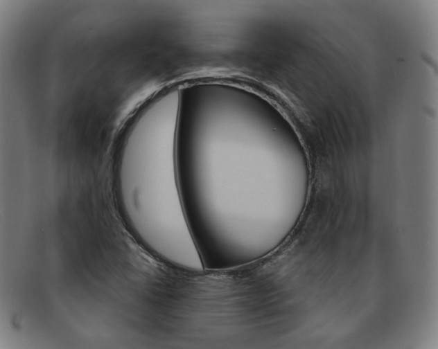 X0000092111406200709121120