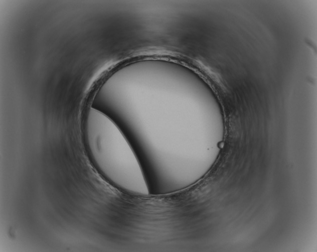 X0000092111408200709121120