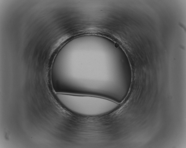 X0000092111410200709121120