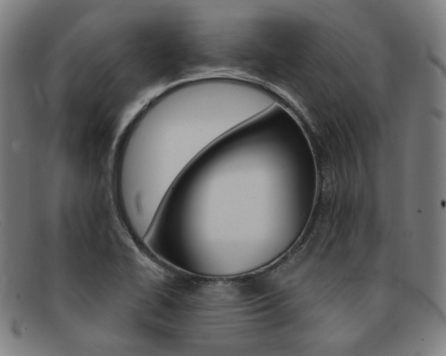 X0000092111414200709121120