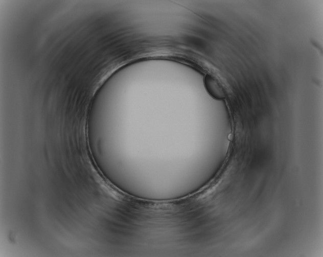 X0000092111417200709121121