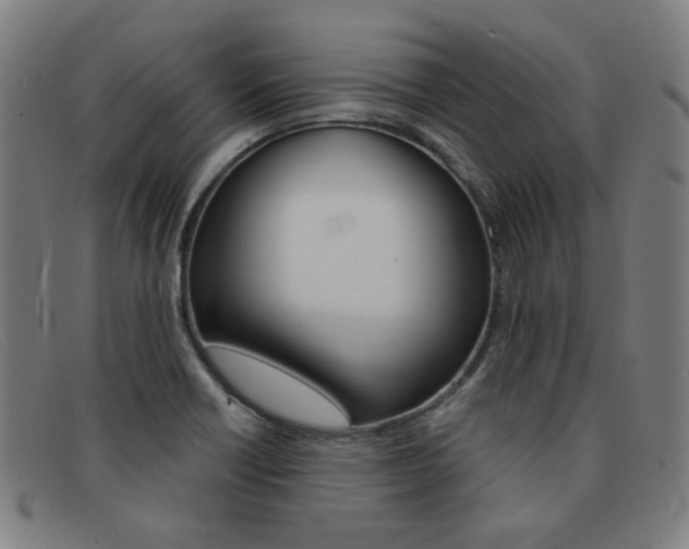 X0000092111418200709121121