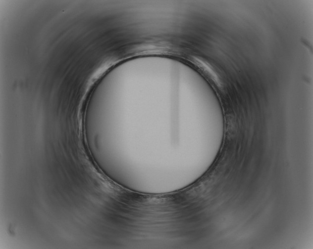 X0000092111419200709121121