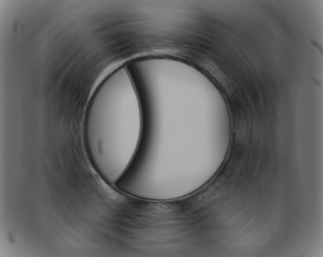 X0000092111420200709121121
