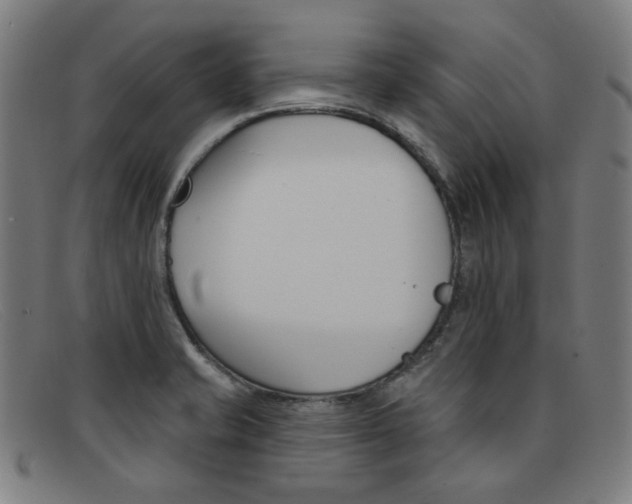 X0000092111421200709121121