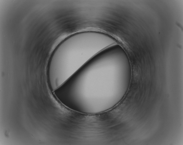 X0000092111422200709121121