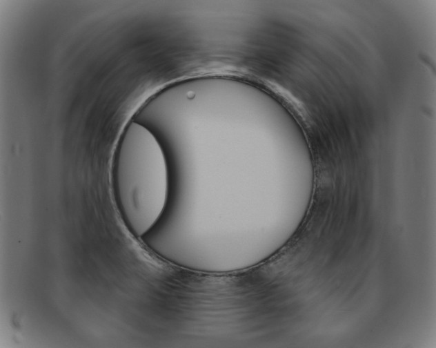 X0000092111423200709121121