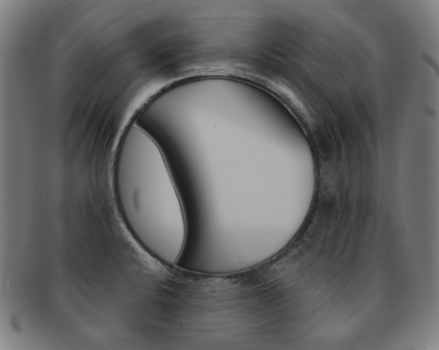 X0000092111424200709121121