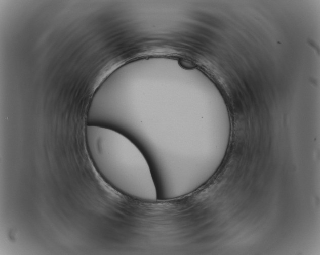 X0000092111425200709121121