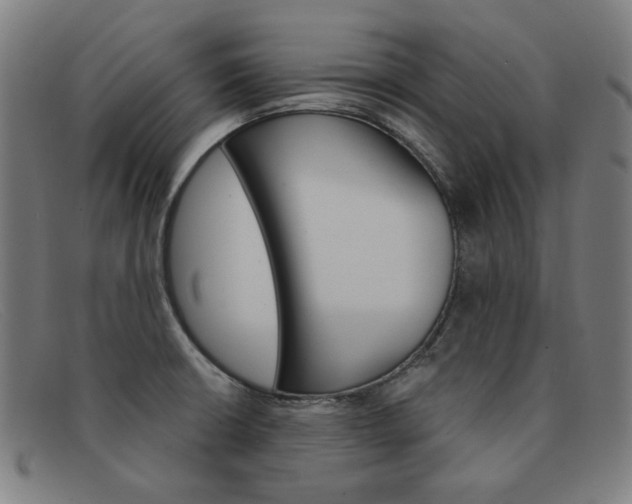 X0000092111426200709121121