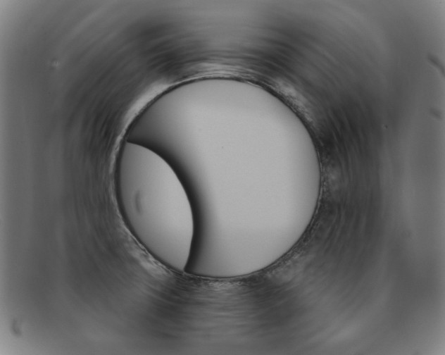 X0000092111427200709121121