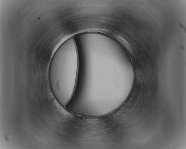 X0000092111428200709121121