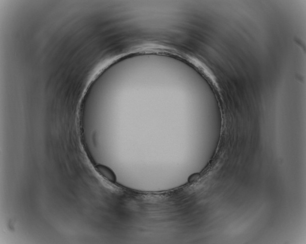 X0000092111429200709121121