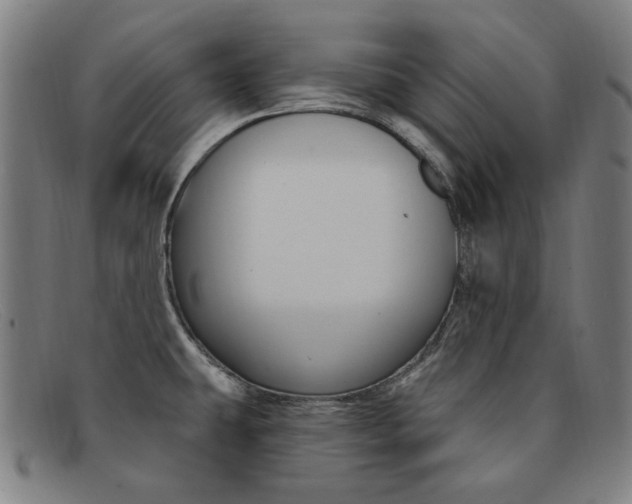 X0000092111431200709121121